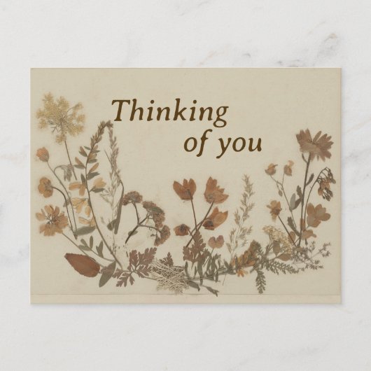 アンティーク花襟 ポストカード (正面)