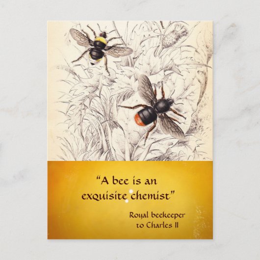 アンティーク蜂蜜蜂の養蜂家，養蜂家 ポストカード (正面)