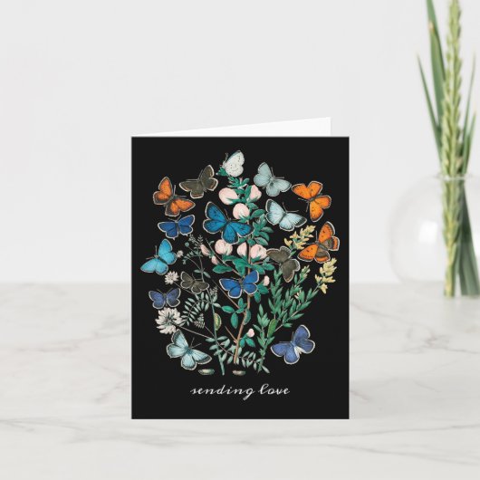 アンティーク蝶と蛾カラフル 招待状 (正面)