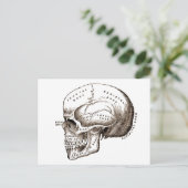 アンティーク解剖学スカル ポストカード (スタンド正面)