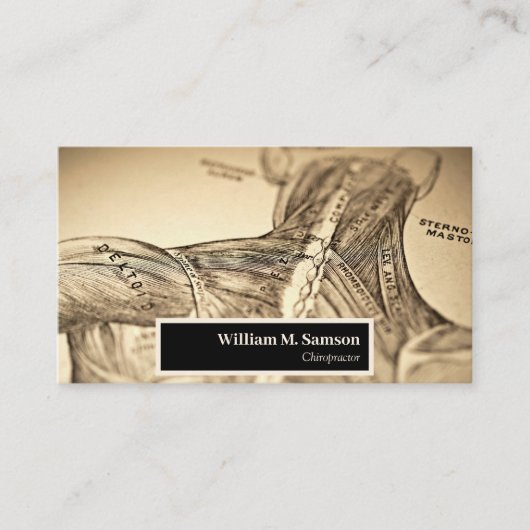 アンティーク解剖学的イラストレーション整体 名刺 (正面)