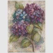アンティーク調の紫陽花の植物画デコパージュ 薄葉紙 (正面)