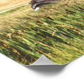 アンティーク車写真ポスター ポスター (角)