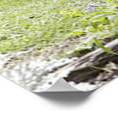 アンティーク車 ポスター (角)