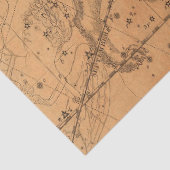 アンティーク銀河系マップシリーズデザイン11 薄葉紙 (詳細)