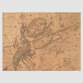 アンティーク銀河系マップシリーズデザイン12 薄葉紙