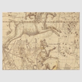 アンティーク銀河系マップシリーズデザイン2 薄葉紙