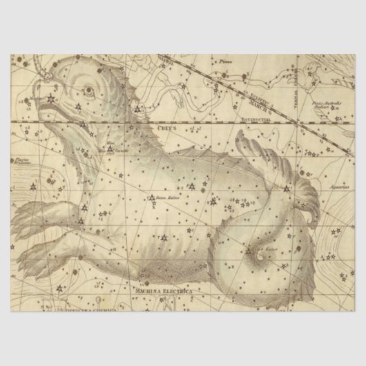 アンティーク銀河系マップシリーズデザイン8 薄葉紙 (正面)