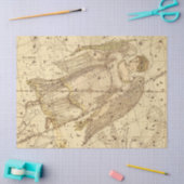 アンティーク銀河系マップシリーズデザイン9 薄葉紙 (クラフト)