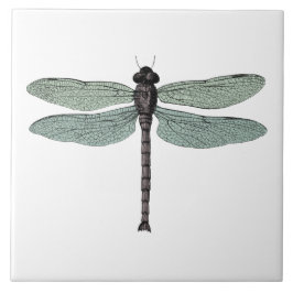 アンティーク類型ヴィンテージトンボ タイル