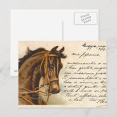 アンティーク馬頭葉書 ポストカード (正面/裏面)