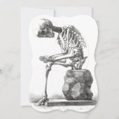 アンティーク骨格解剖学:ゴシック型ハロウィーン医学 (正面)