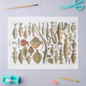 アンティーク魚図の工芸員 薄葉紙 (クラフト)