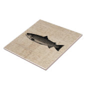 アンティーク魚釣りアートトラウトフィッシュイラストレーションスクリプト タイル (側面)