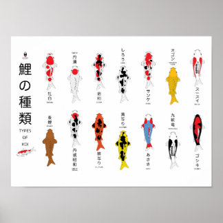 アンティーク鯉ポスター、手絵を描 ポスター