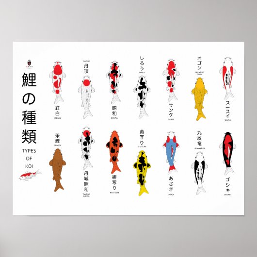 アンティーク鯉ポスター、手絵を描 ポスター (正面)