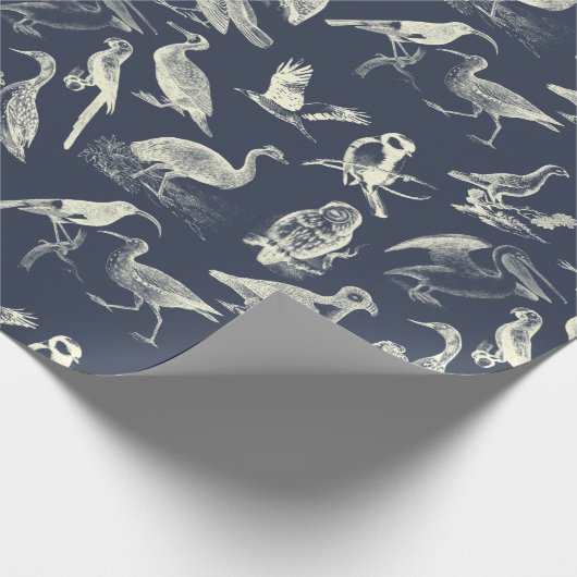 アンティーク鳥イラストレーション版木、銅版、版画クリームネイビー ラッピングペーパー (角)
