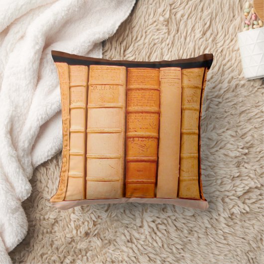 アンティーク17世紀レザービンディング本枕 クッション (ブランケット)