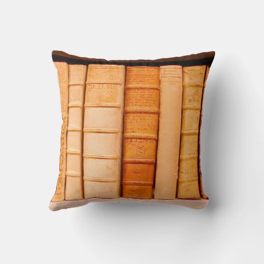 アンティーク17世紀レザービンディング本枕 クッション (裏面)