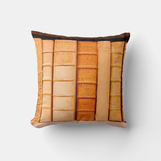アンティーク17世紀レザービンディング本枕 クッション (正面)
