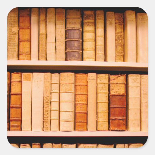 アンティーク17世紀レザー製本 スクエアシール (正面)