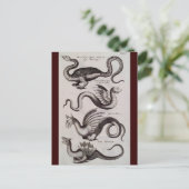 アンティーク18thセンチュリードラゴン版木、銅版、版画 ポストカード (スタンド正面)