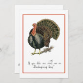 アンティーク1907感謝祭ディナー招待状 招待状 (正面/裏面)