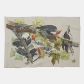 アンティーク アウドゥボン クマゲラ 鳥 アート キッチンタオル (横)