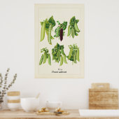 アンティーク エンドウ豆の植物画 キッチンアート ポスター (キッチン)