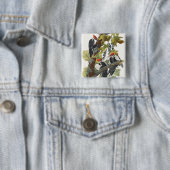 アンティーク・オーデュボンのクマゲラの鳥アート 缶バッジ (インサイチュ)