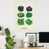 アンティーク ケール 植物画 イラスト ウォールアート (ホームオフィス)