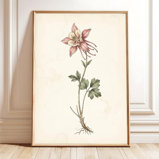アンティーク・コロンバインの植物画 ファームハウスアート ポスター