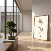 アンティーク・コロンバインの植物画 ファームハウスアート ポスター