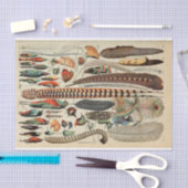 アンティーク フェザー 鳥 野生生物 ファンシー 薄葉紙 (クラフト)