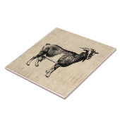 アンティークGogitイラストレーション(スクリプト背景付き) タイル (側面)