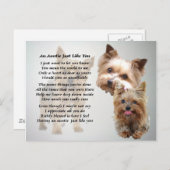 アンティ詩 – Yorkshire terrier ポストカード (正面/裏面)