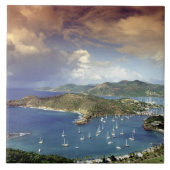 アンテカリブのィグア。 タイル (正面)