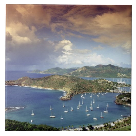 アンテカリブのィグア。 タイル (正面)