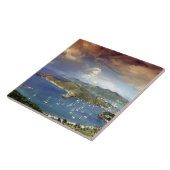 アンテカリブのィグア。 タイル (側面)