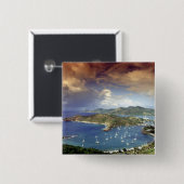 アンテカリブのィグア。 缶バッジ (正面&裏面)