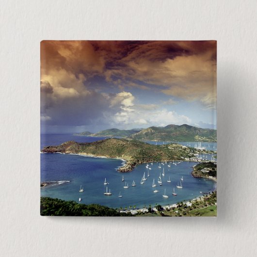 アンテカリブのィグア。 缶バッジ (正面)