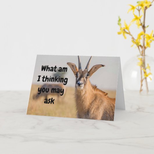 «アンテロープカードを使った第65誕生日ユーモア カード (黄色い花)