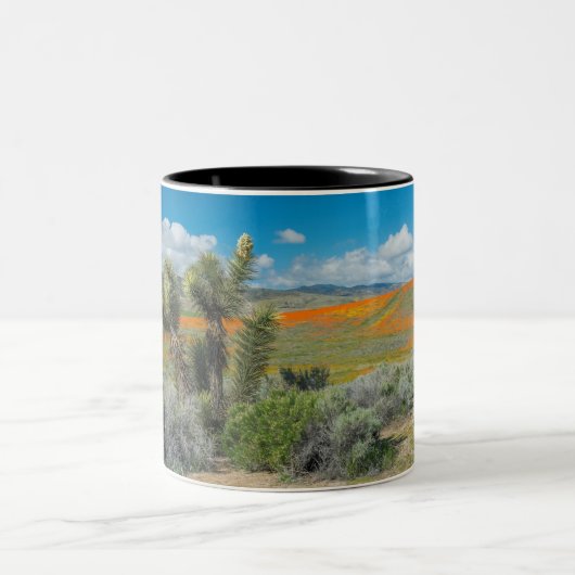 アンテロープバレーポピーリザーブコーヒーマグ ツートーンマグカップ (中央)