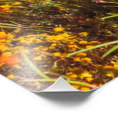 アンテロープ谷 フォトプリント            (角)