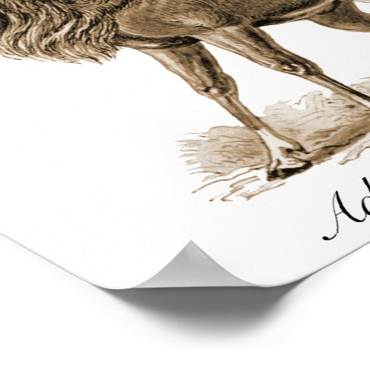 アンテロープ ポスター (角)