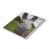 アンディー タイル (側面)