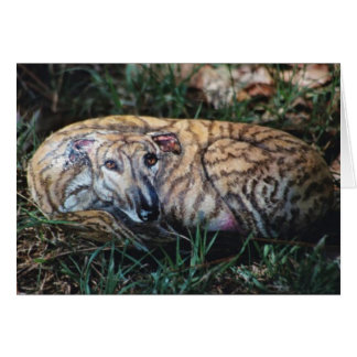 "アンディー"犬の石カード