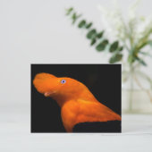 アンデスの岩 ポストカード (スタンド正面)