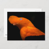 アンデスの岩 ポストカード (正面/裏面)