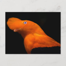 アンデスの岩 ポストカード